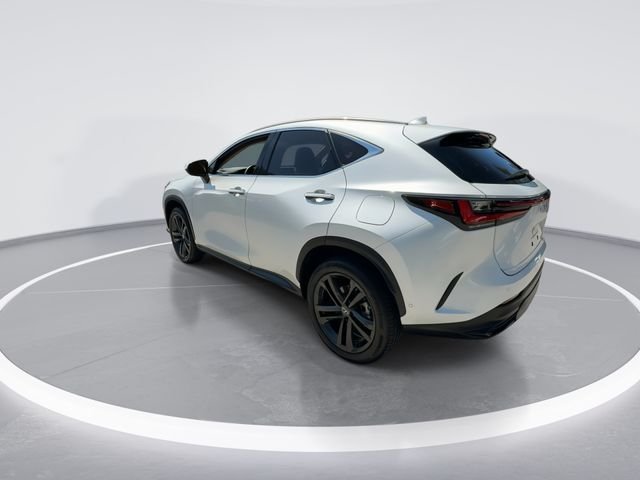 2025 Lexus NX PHEV 450h+ - Photo 6