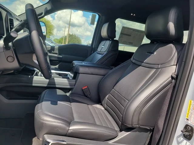 New 2026 Gray Metallic Ford Platinum image 20