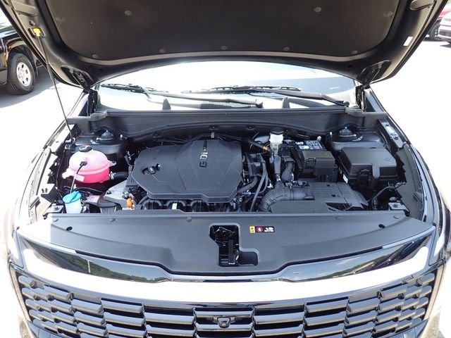 Used 2026 Black Kia SX-Prestige image 12