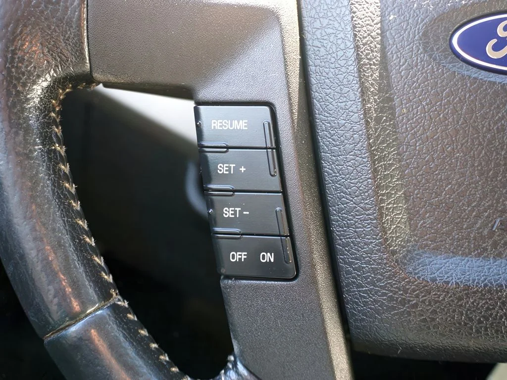2010 Ford F-150 Platinum - Photo 19