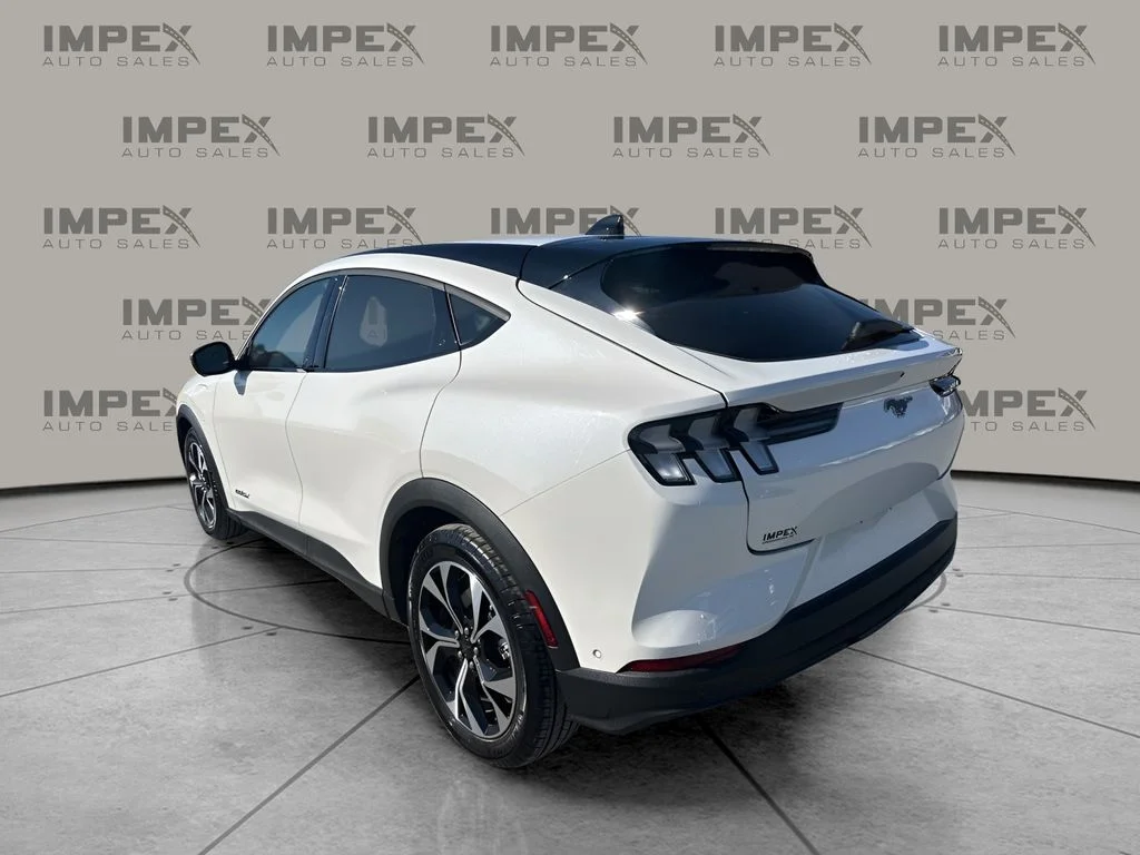 Used 2024 White Ford Select image 3