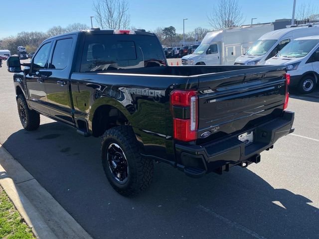 New 2026 Black Ford Platinum image 28