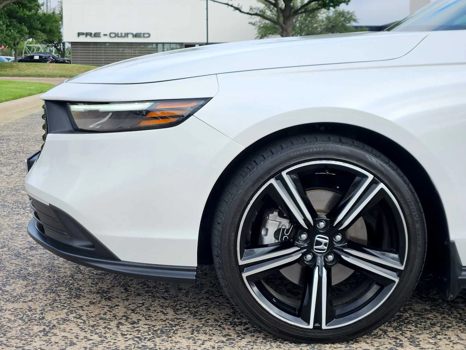Used 2024 Platinum White Pearl Honda Sport image 5