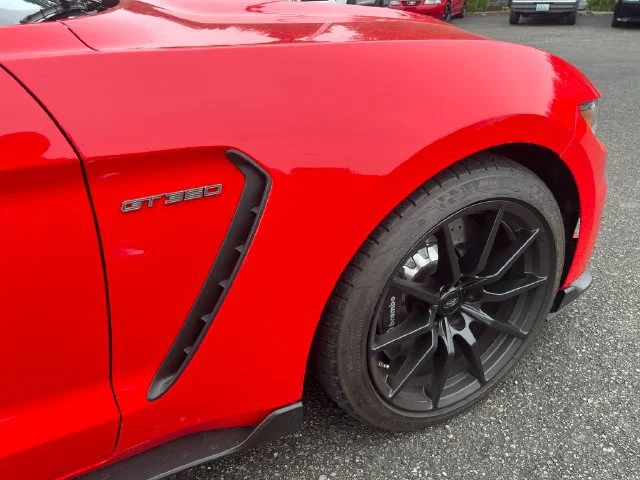 Used 2018 Race Red Ford Shelby GT350 image 12