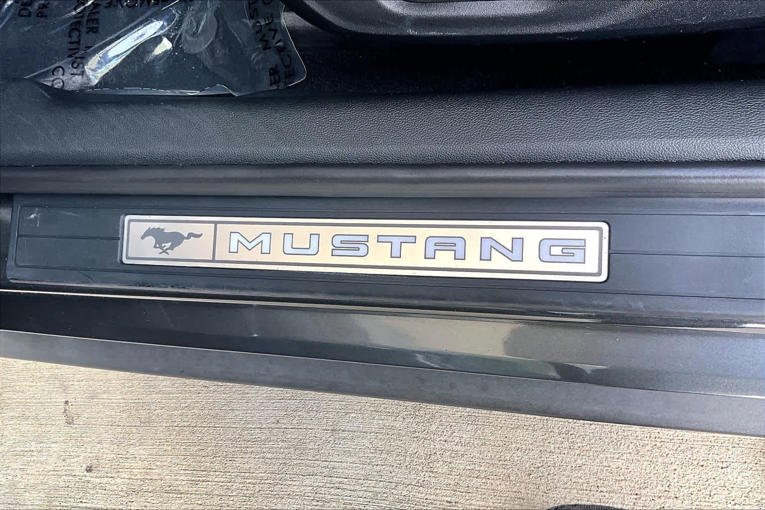 Used 2019 Magnetic Metallic Ford GT Premium image 10