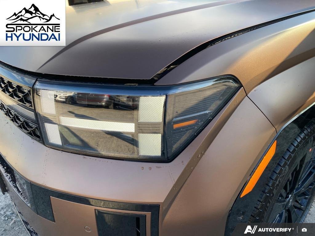 New 2027 Earthy Brass Matte Hyundai Calligraphy image 11