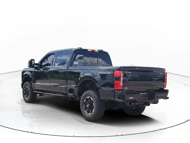 New 2026 Black Metallic Ford Platinum image 7