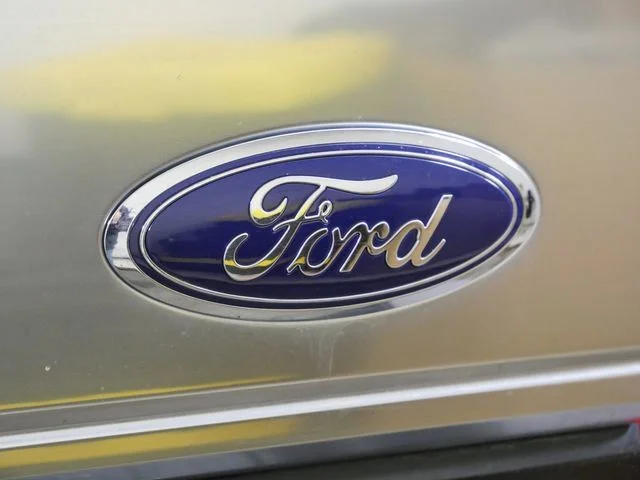 Used 2019 Black Ford Platinum image 15