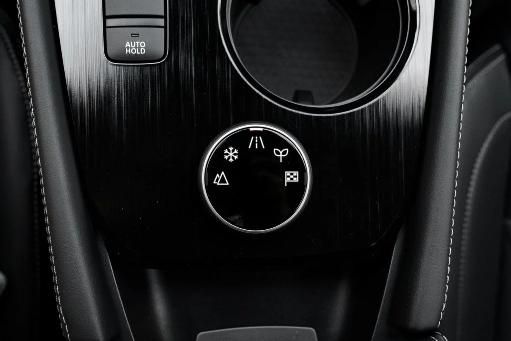 New 2026 Super Black Nissan Platinum image 18