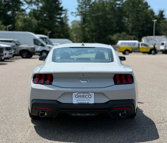 New 2026 Avalanche Gray Ford EcoBoost® Fastback image 5