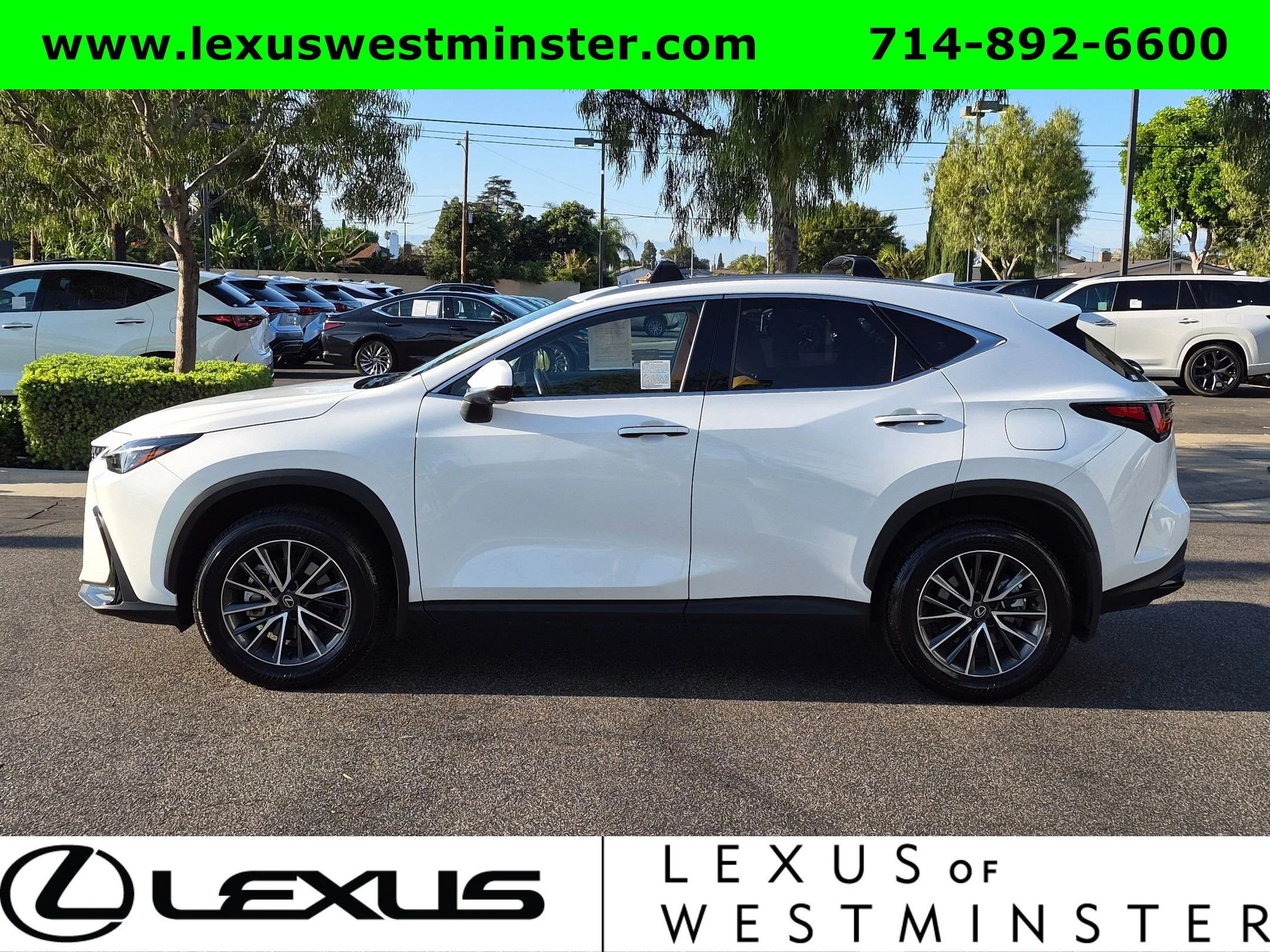 Certified Used 2026 WHITE NOVA GF. Lexus NX 350h Premium image 14