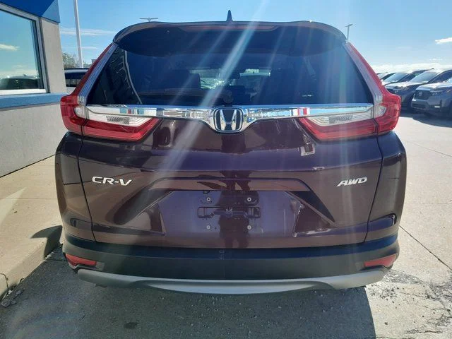 Used 2019  Honda EX-L image 6