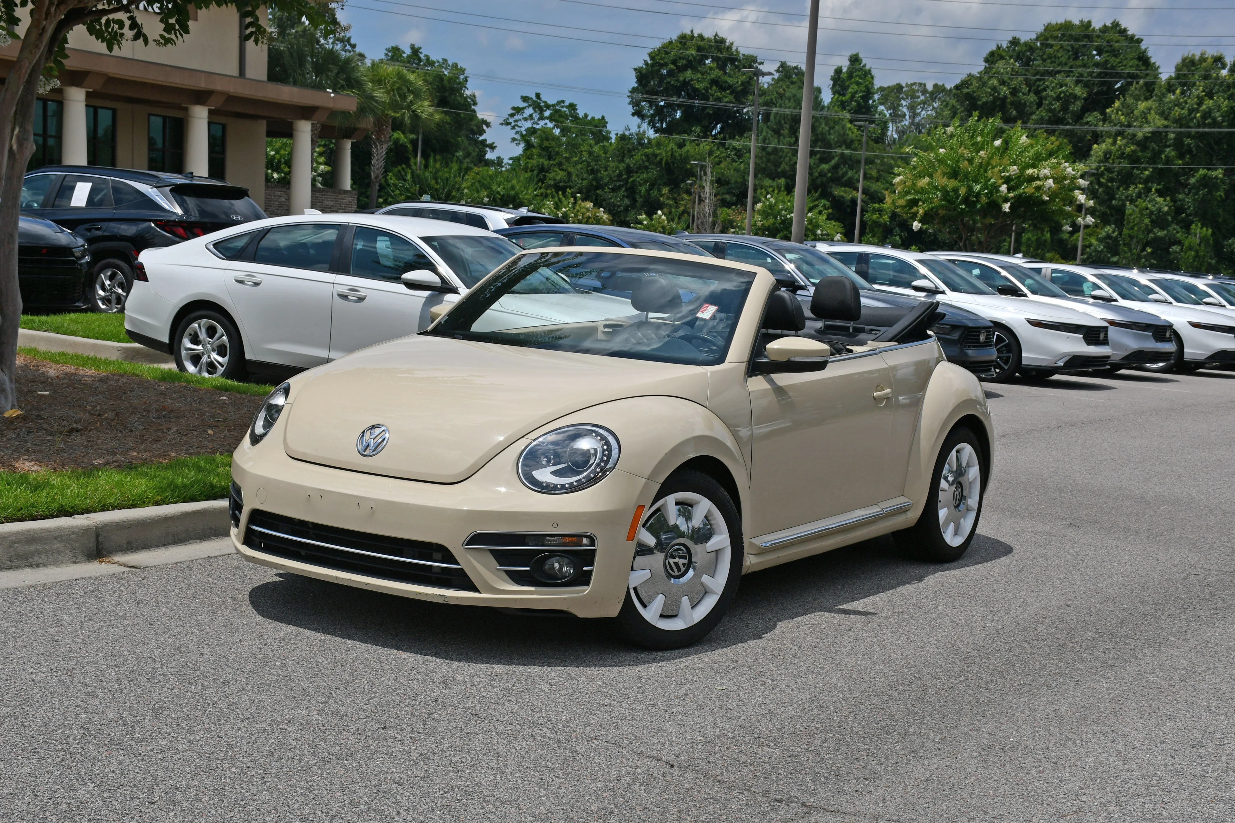 3VW5DAAT6KM501450