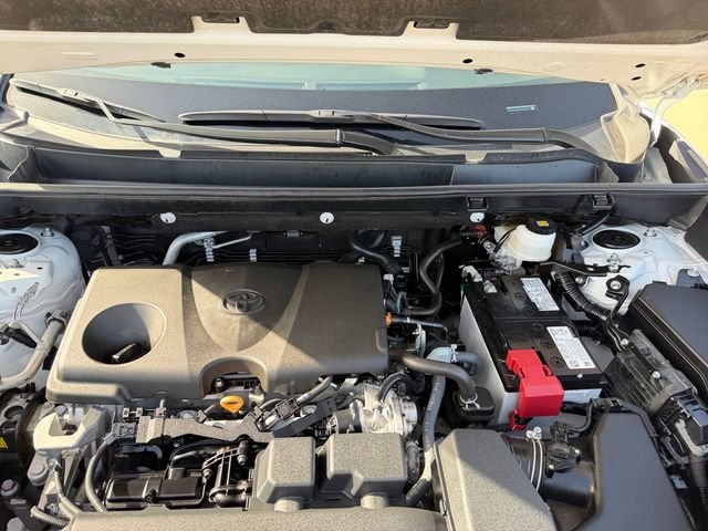 Used 2025 Beige Toyota XLE Premium image 19