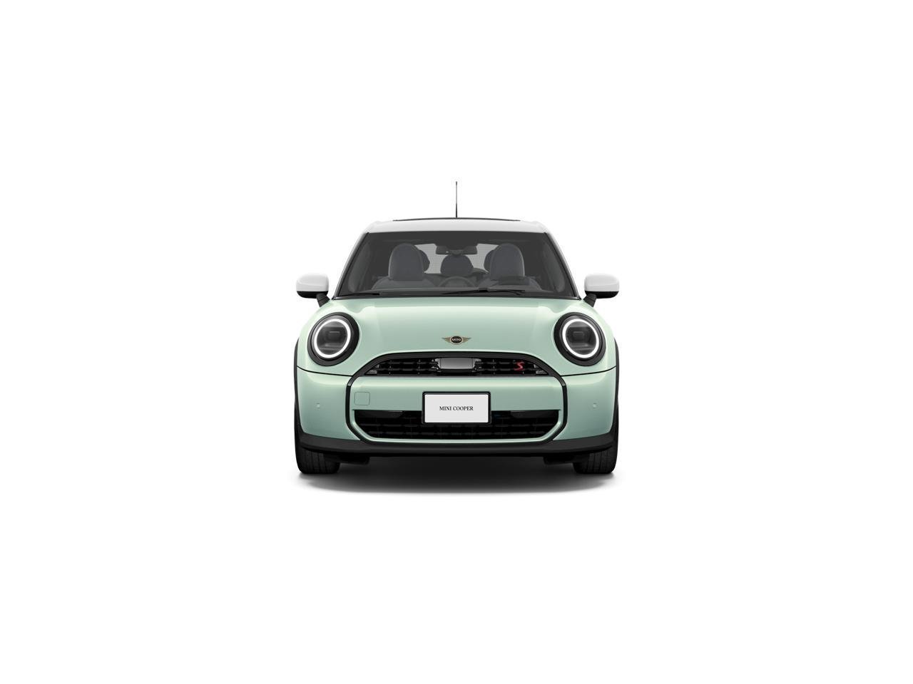 New 2026 Ocean Wave Green Metallic MINI Signature Plus image 2