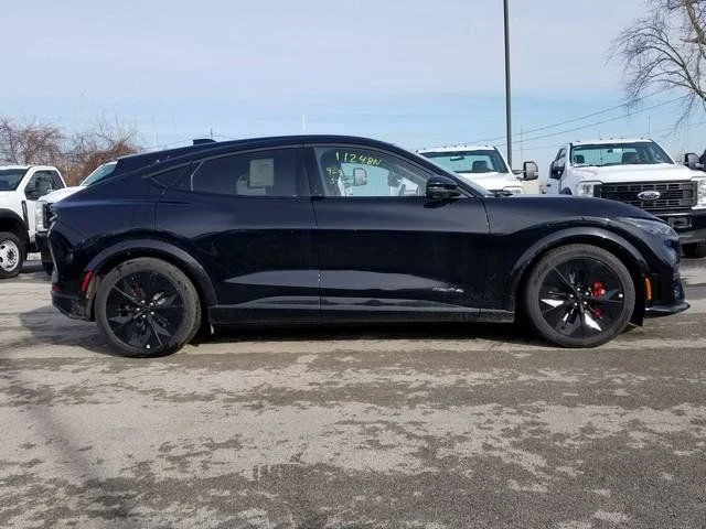 2025 Ford Mustang Mach-E GT - Photo 30