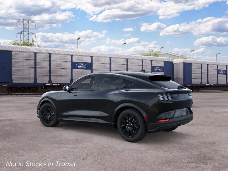 New 2026 Shadow Black Ford Premium image 4