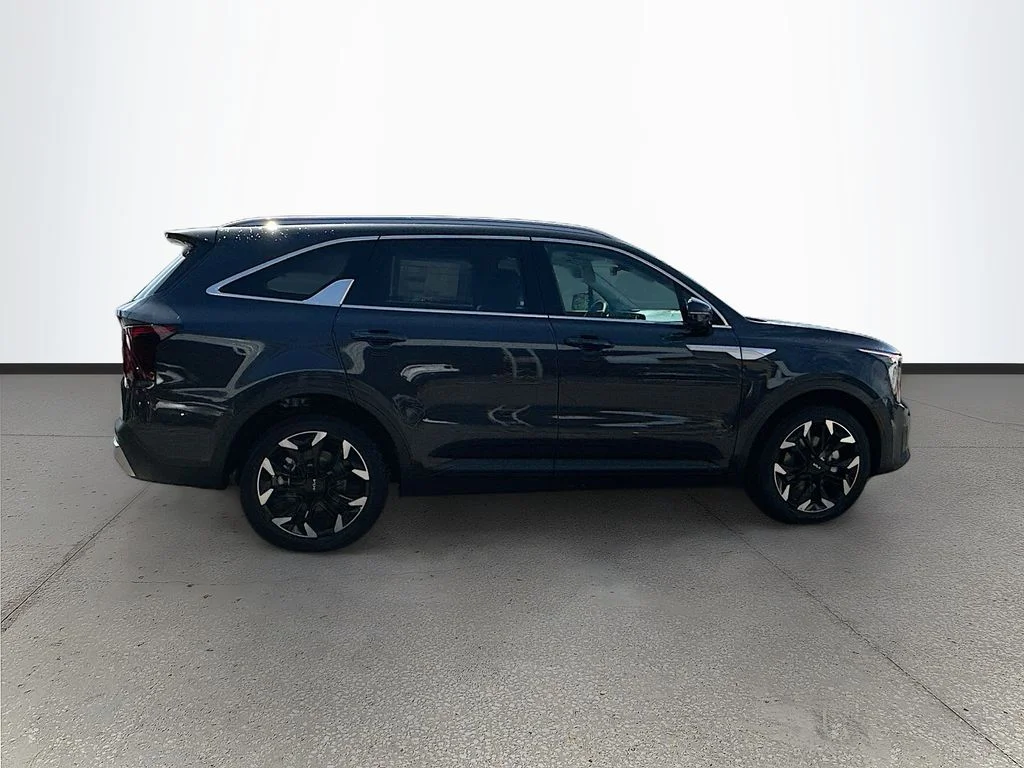 New 2026 Panthera Metal Kia SX image 8