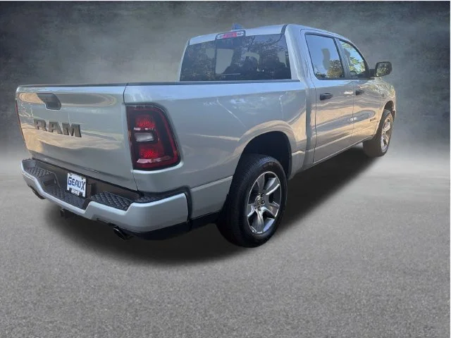 New 2027 Silver Zynith Exterior Paint RAM Express image 8