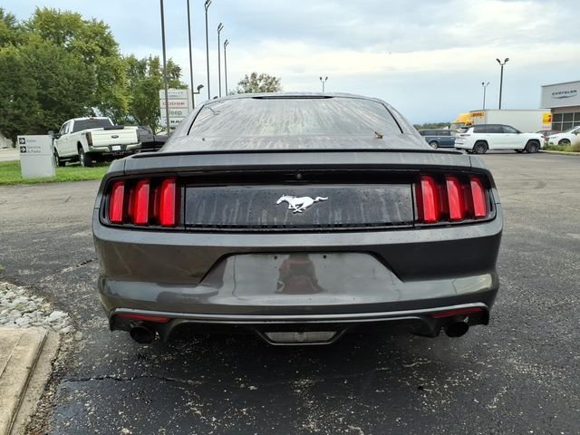 Used 2017 Gray Ford EcoBoost image 6