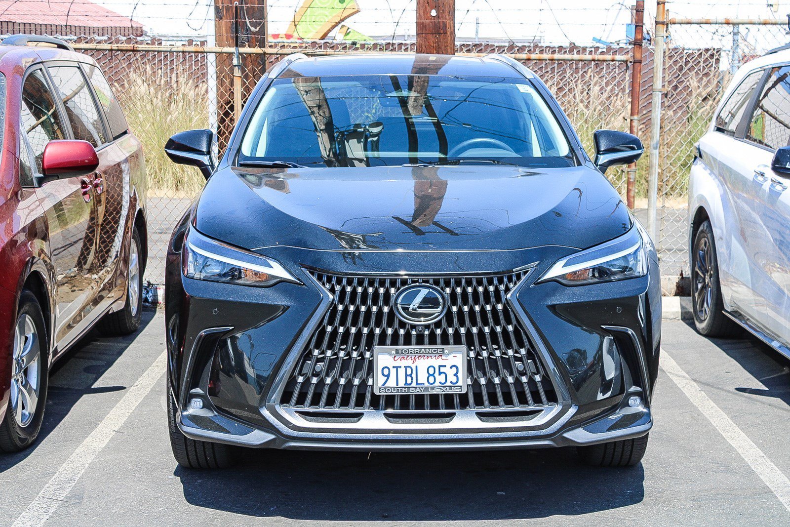 Used 2025 Caviar Lexus NX 350 Premium image 2
