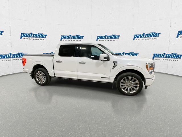 Used 2023 White Ford Limited image 13
