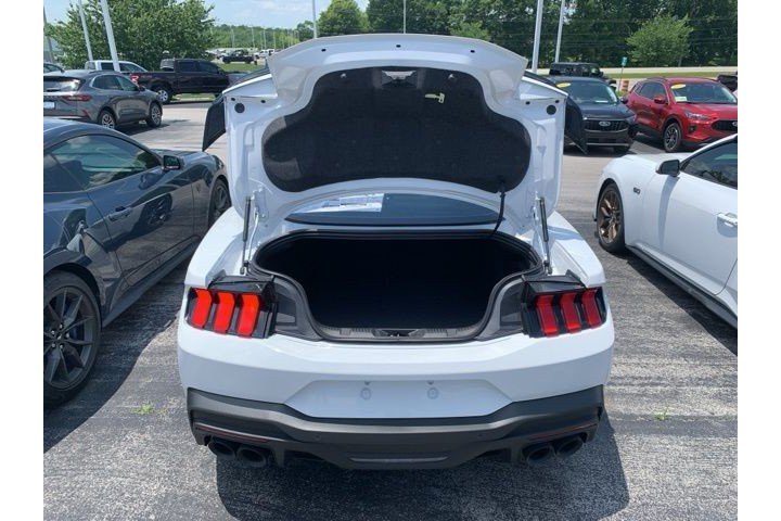 New 2025 Oxford White Ford Dark Horse image 21