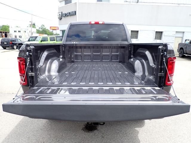 New 2026 Granite Crystal Metallic Clear-Coat Exterior Paint RAM Tradesman image 6