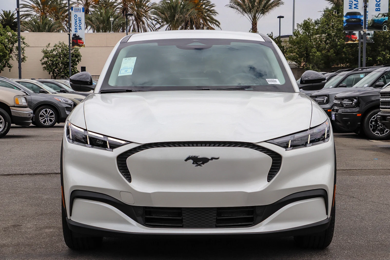 New 2026 Star White Metallic Tri-coat Ford Select image 2