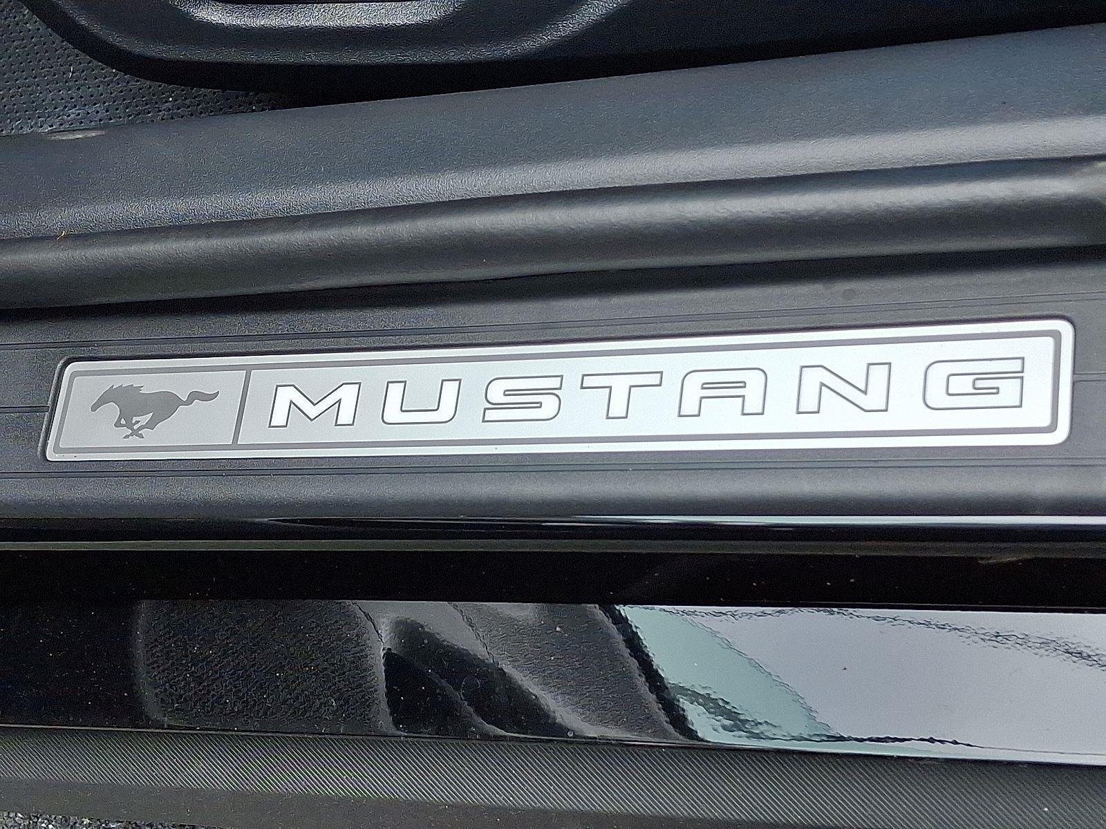 2025 Ford Mustang GT Premium Convertible - Photo 22