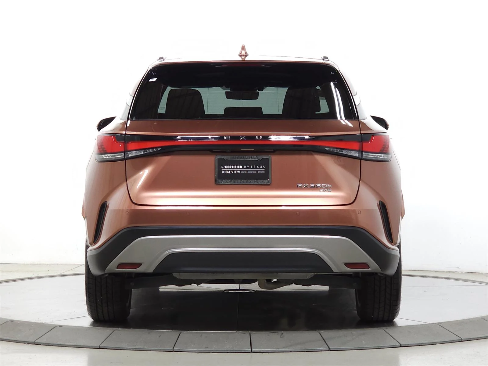 2023 Lexus RX Hybrid 350h - Photo 7