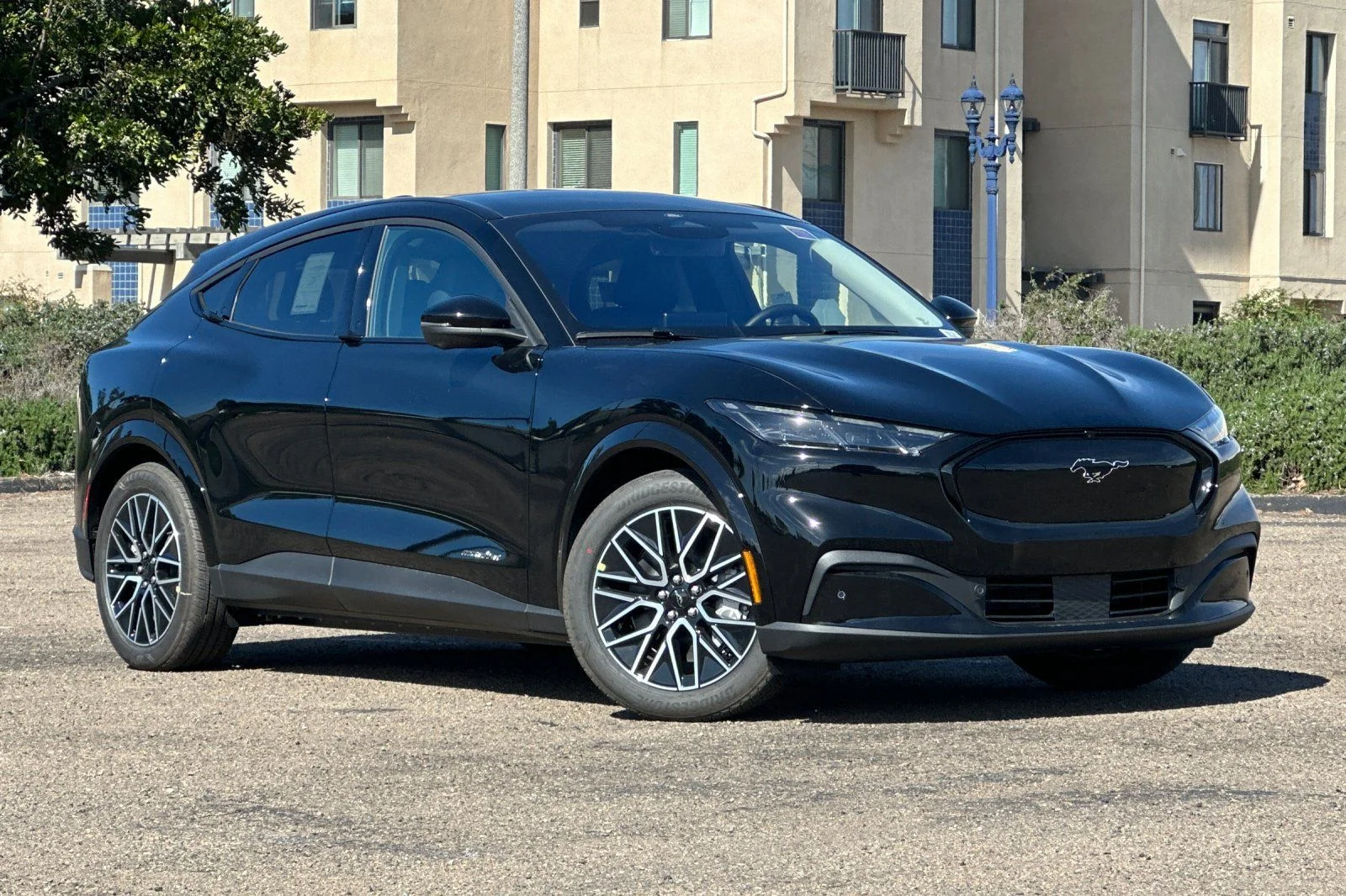 New 2026 Shadow Black Ford Premium image 1