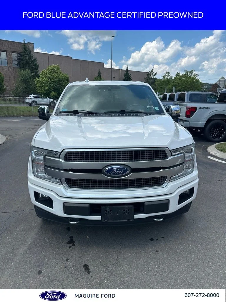 Used 2019 White Ford Platinum image 3