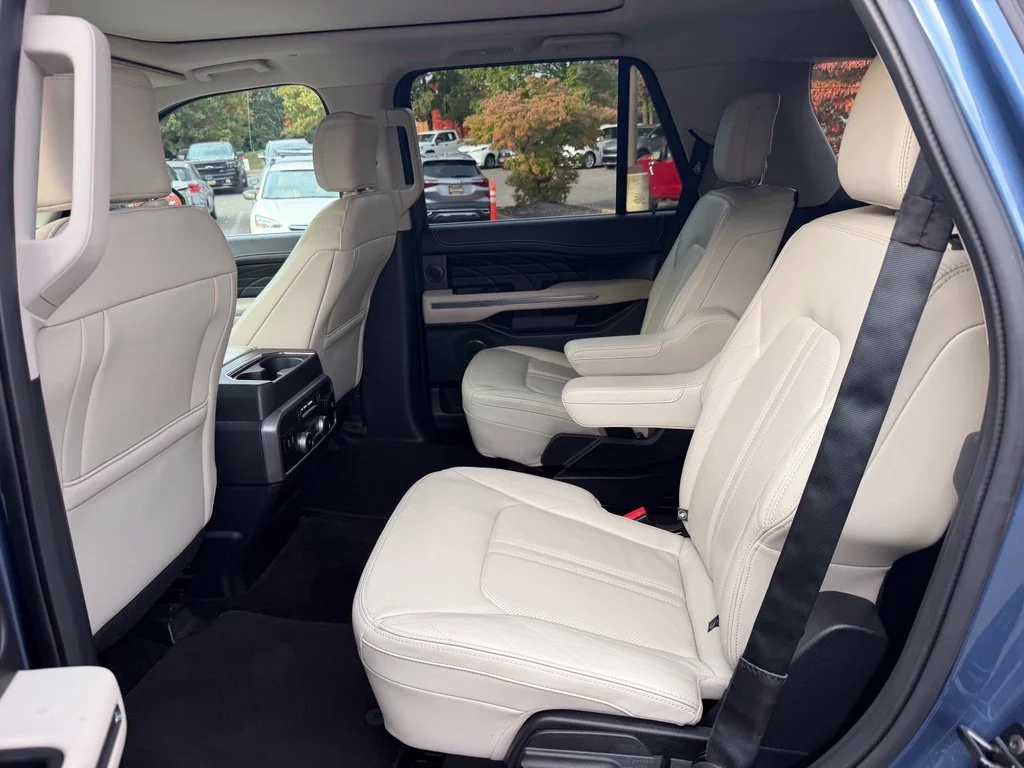 Used 2020 Blue Ford Platinum image 10