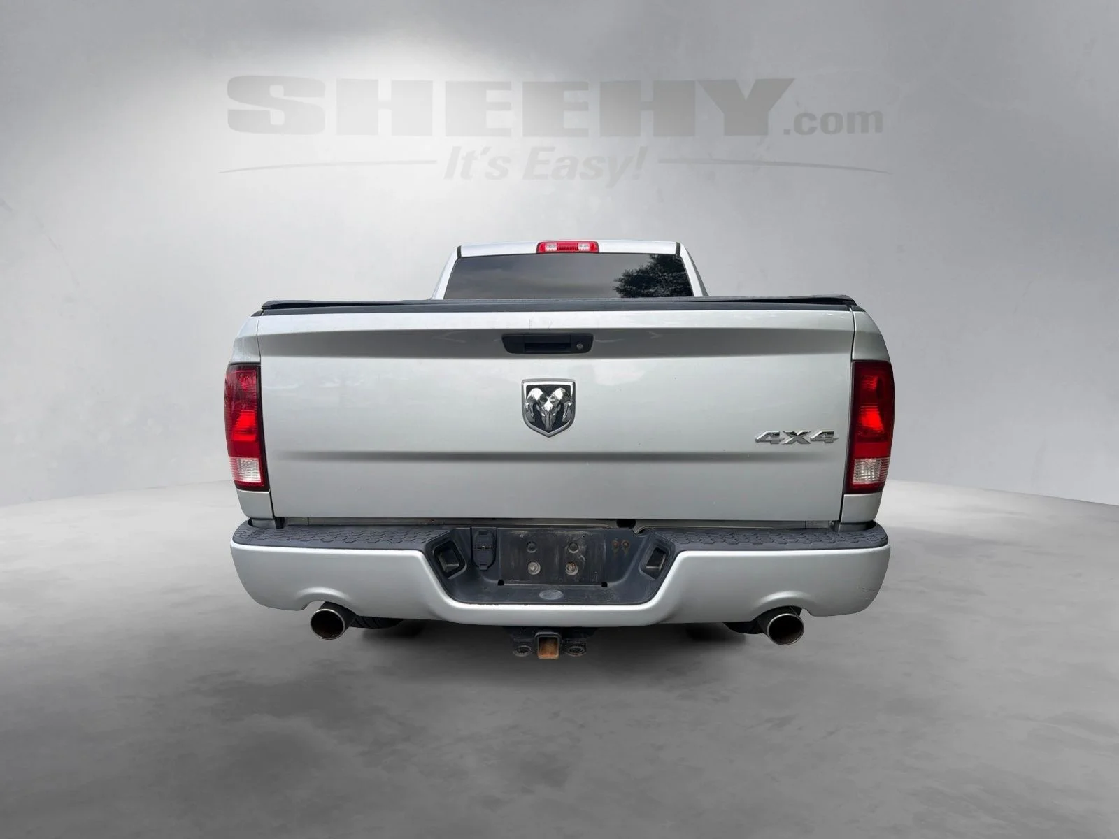 Used 2013 Bright Silver Metallic Ram Express image 16