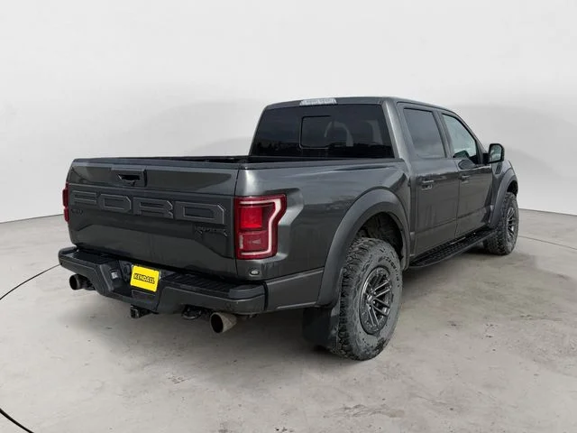 Used 2019 Magnetic Ford Raptor image 5