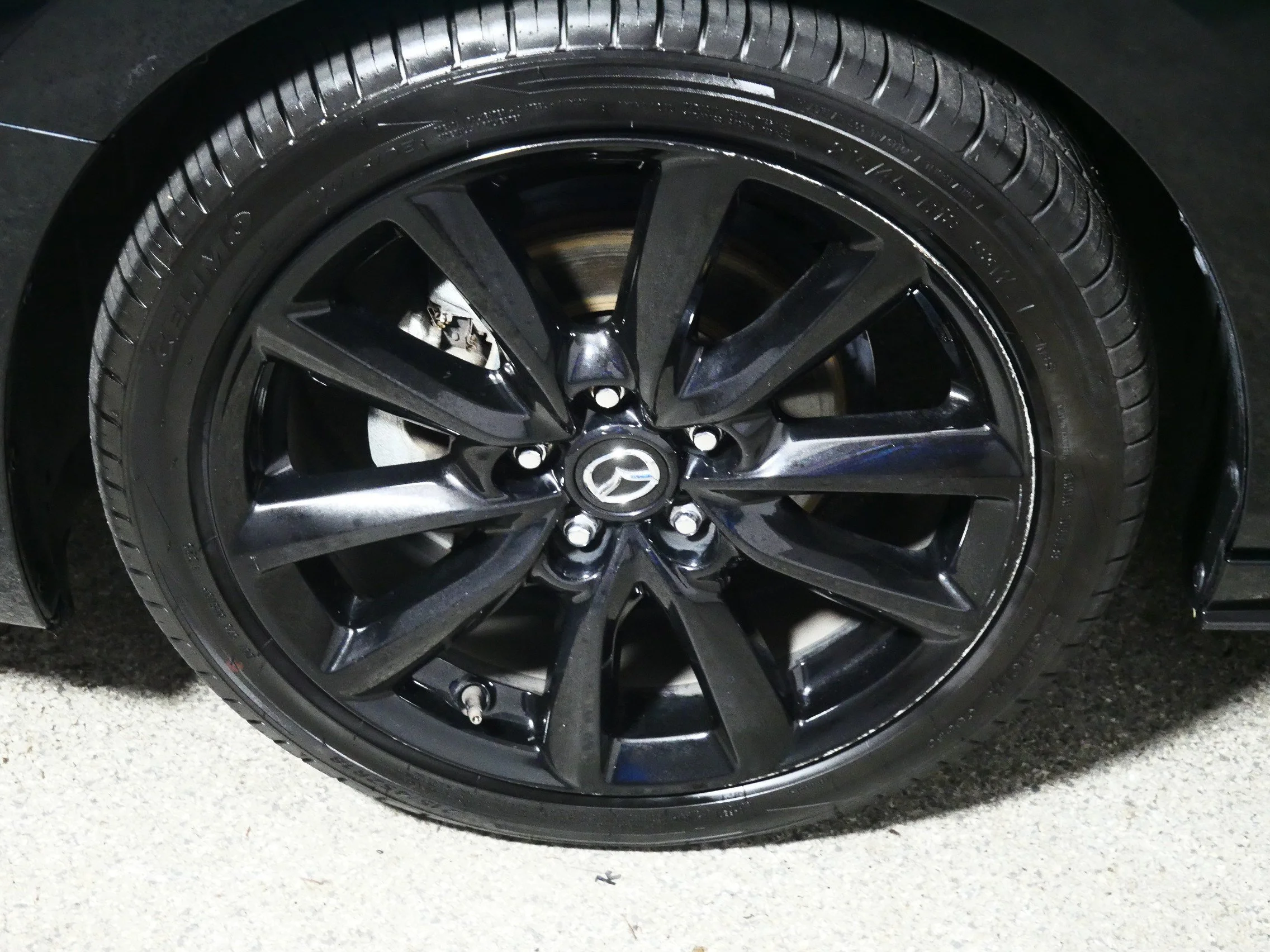 Photo 15