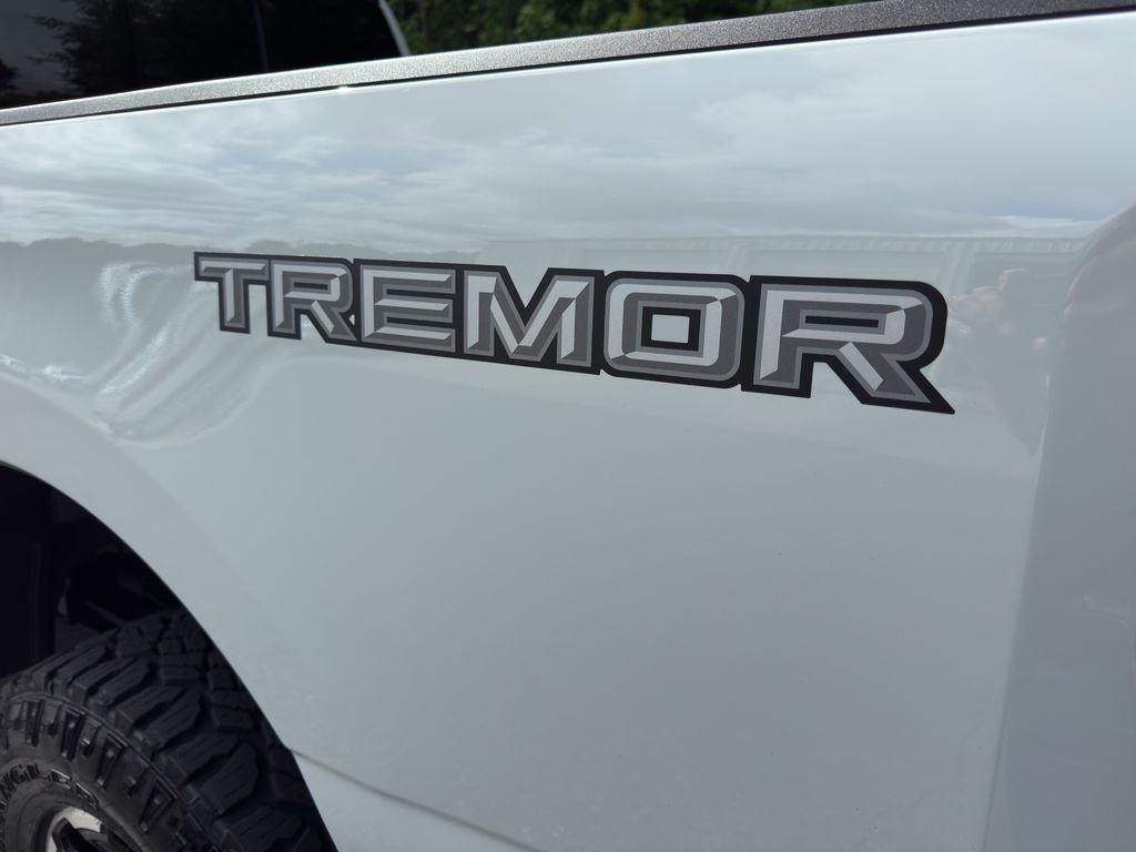Used 2025 Avalanche Ford LARIAT image 10