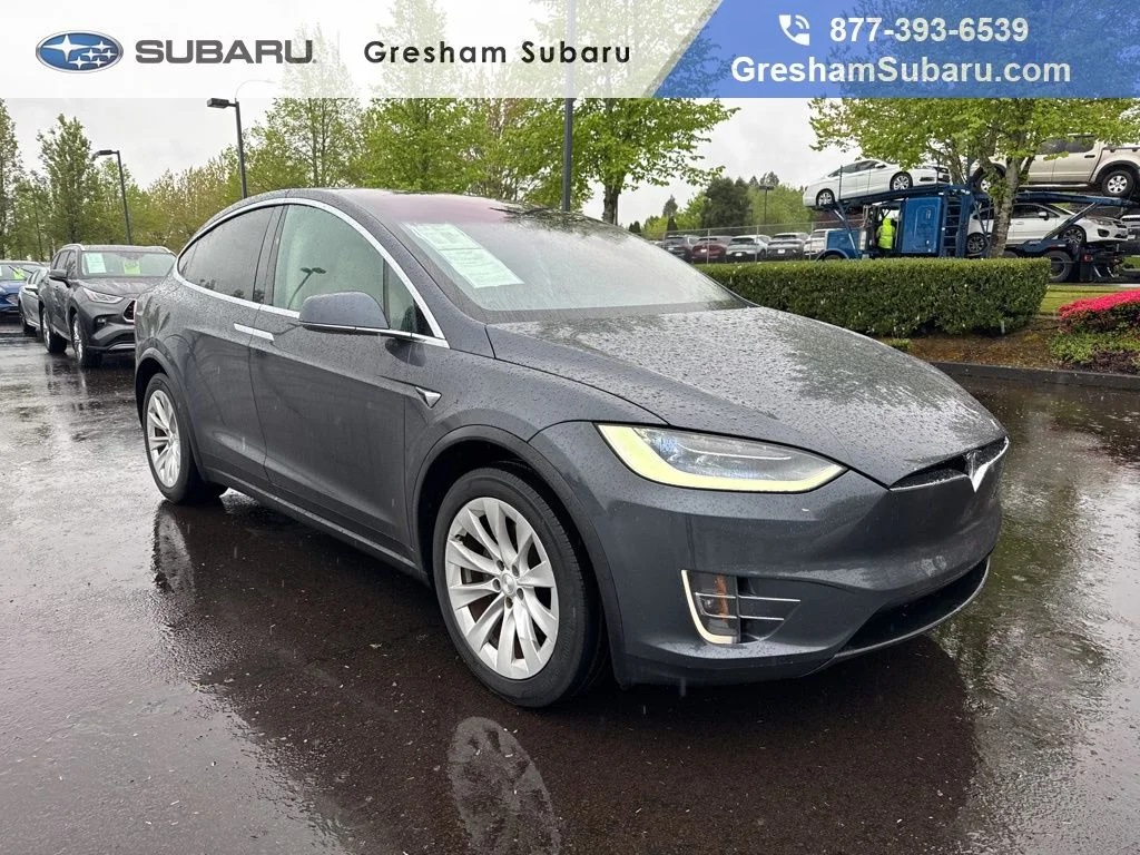 2019 Tesla Model X -'s photo