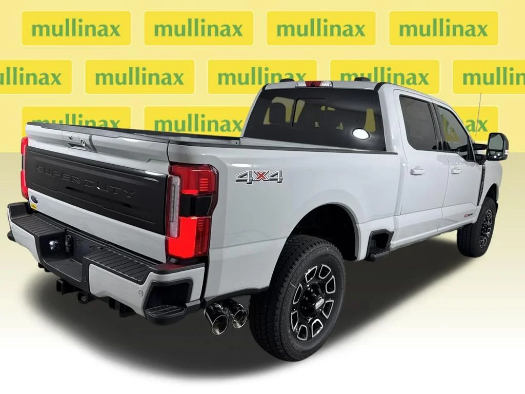 New 2026 White Ford Platinum image 21