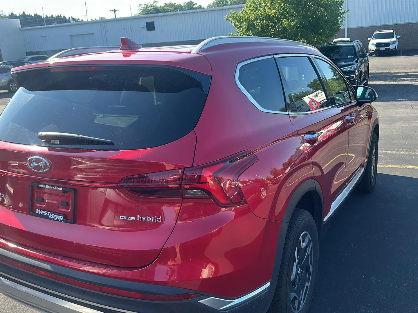 Used 2023 Calypso Red Hyundai Blue image 4