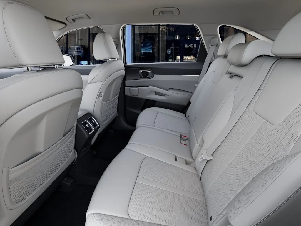 New 2026 PANTHERA METAL Kia S image 18