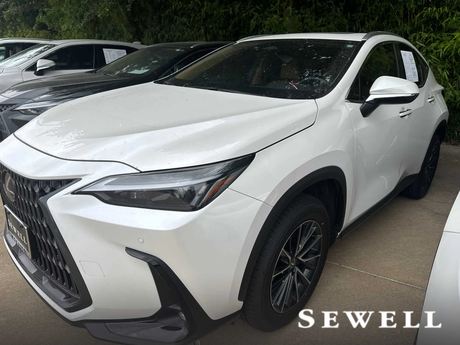 2025 Lexus NX 350's photo