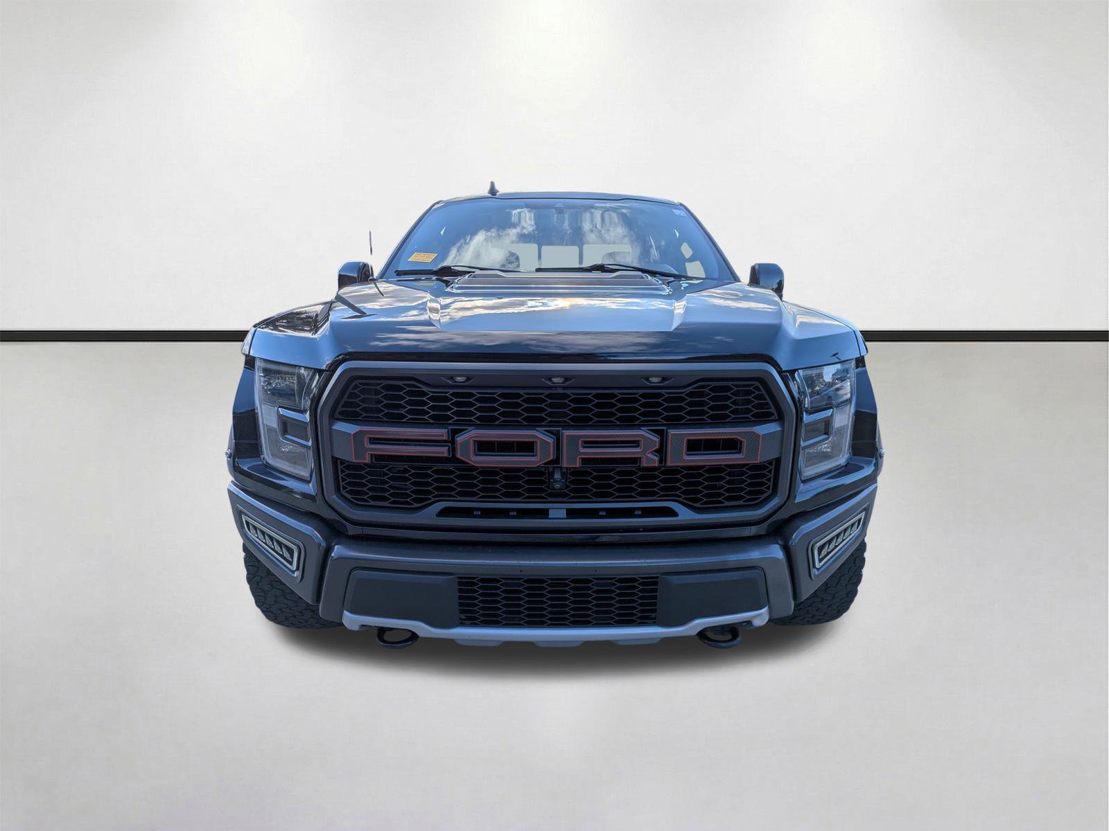 Used 2019 Black Metallic Ford Raptor image 12