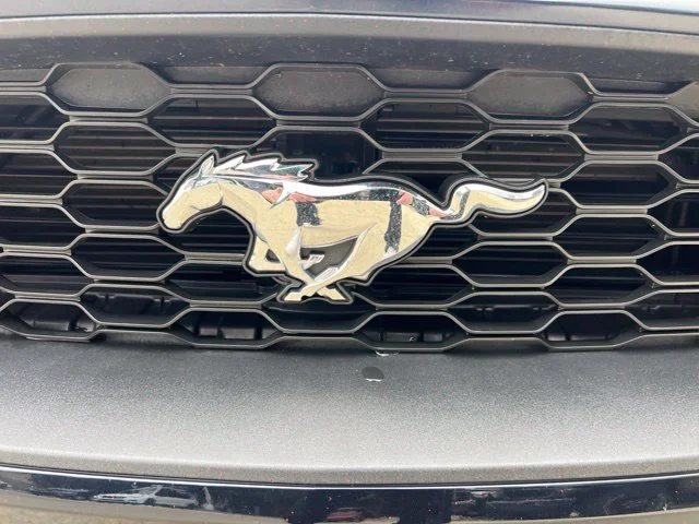 Used 2021 Blue Ford EcoBoost Premium image 33