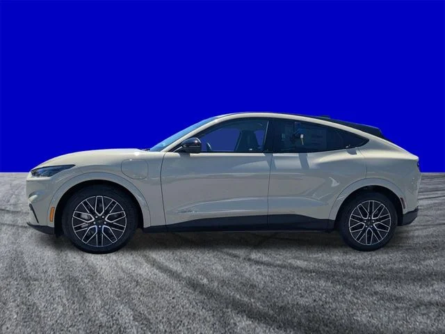 New 2026 Beige Ford Premium image 6