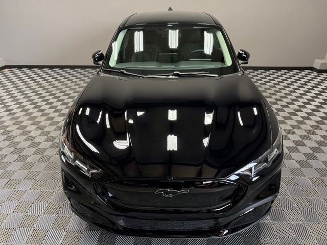 New 2026 Shadow Black Ford Premium image 5