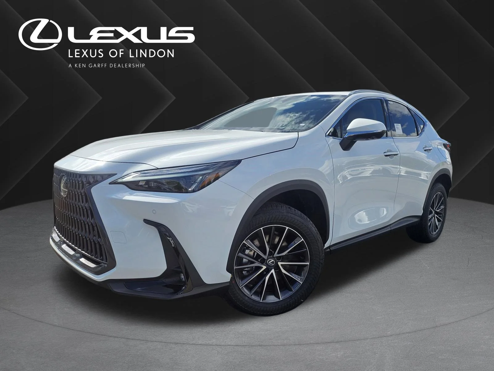 2026 Lexus NX 350h 350h Premium AWD's photo