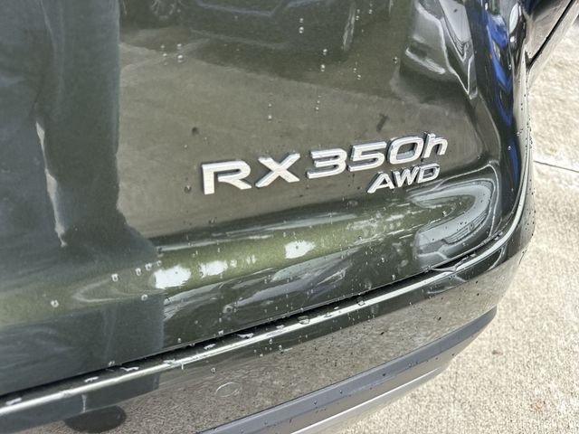 2025 Lexus RX Hybrid 350h - Photo 25