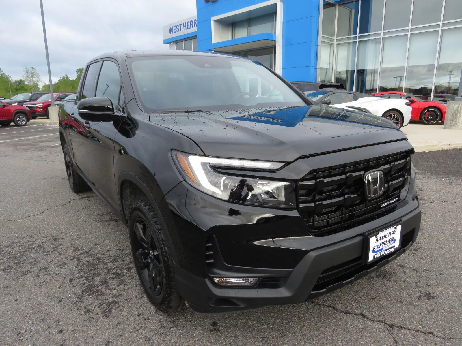 Used 2024  Honda Black Edition image 3